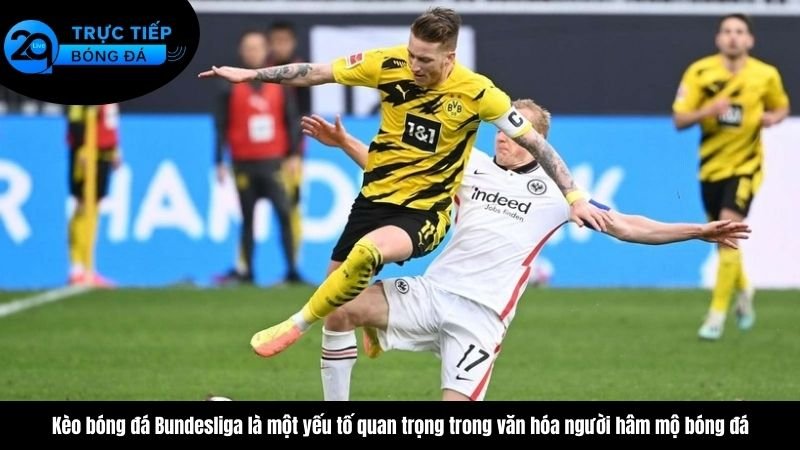 keo bong da bundesliga